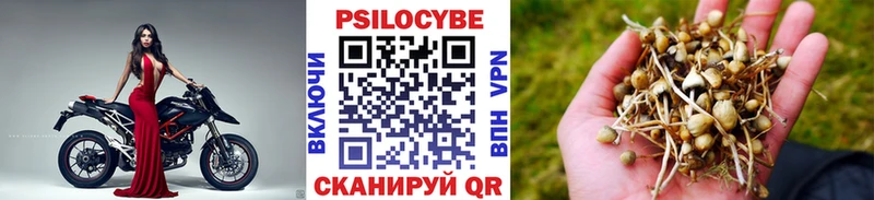 Псилоцибиновые грибы Magic Shrooms хочу наркоту гидра онион Калач